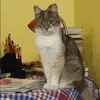 Отзыв от Наиля Рыжова